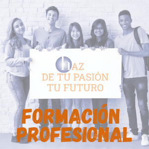 formación profesional h 100521